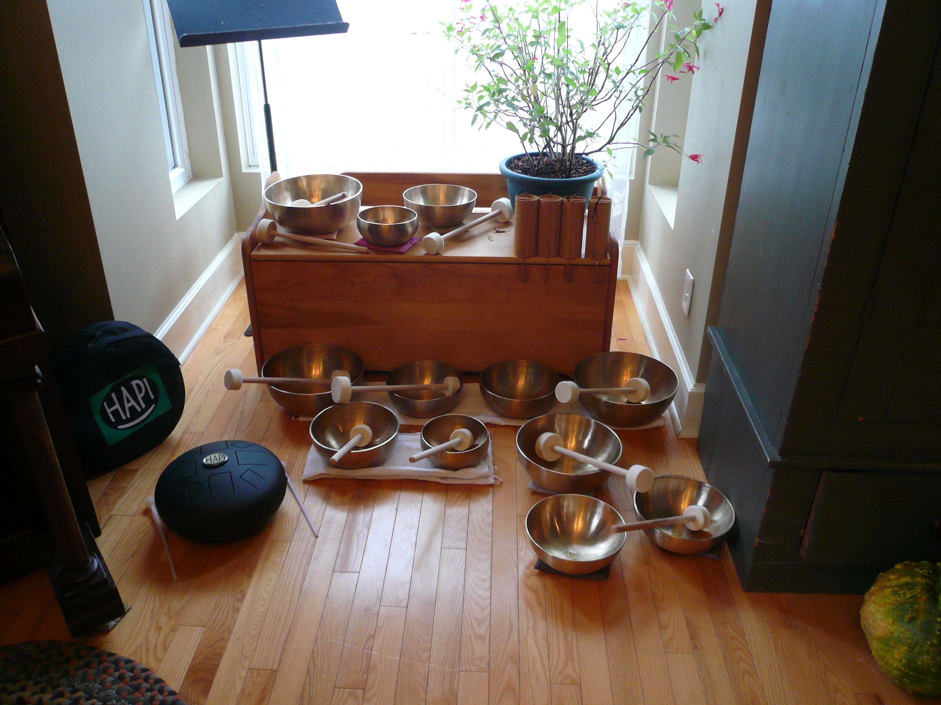 Sound Essence Bath with Singing Bowls, Hapi Drums, Koshi chimes and Gongs